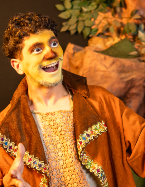 Curso Técnico de Teatro Reconhecida pelo MEC